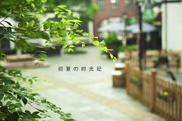 恋绣衾 初夏