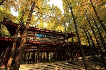 刘蜕唐大中时人文冢在兜率寺予尝读孙樵自序