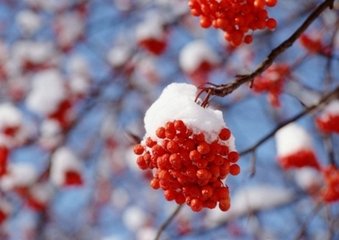 喜腊雪