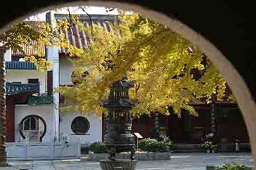 东林愿禅师院